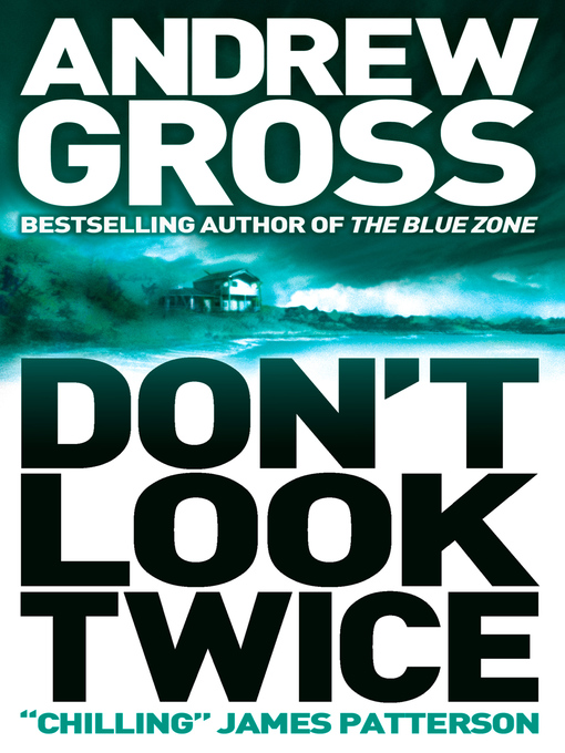 Title details for Don't Look Twice by Andrew Gross - Available